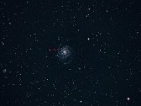 Die "Feuerrad-Galaxie" M 101  M 101 ist eine Spiralgalaxie in einer Entfernung von 21 Mio. Lichtjahren. Auf dem Foto ist links vom Kern (rot markiert) die Supernova SN 2023ixf zu sehen, die im Mai 2023 explodierte. 6" f/5 Newton, Canon 6 D, ISO 3200, UHC-S-Filter, 39 x 60 s. Aufgenommen am 17.06.2023 ab 00:31 Uhr MESZ.
