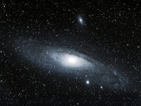 Der Andromedanebel M 31  Der Andromedanebel ist kein “Nebel” im Sinne eines gasförmigen Gebildes, sondern eine Galaxie mit mehreren hundert Milliarden Einzelsternen. Als kosmischer Nachbar unserer Milchstraße ist sie 2,5 Millionen Lichtjahre entfernt und damit das entfernteste Objekt, das auch unter mäßigen Bedingungen mit bloßem Auge (als nebliger Fleck) zu erkennen ist. 6" f/5 Newton, Canon 6 D, ISO 16.000, 24 x 30 s. Aufgenommen am 28.11.2016 ab 21:30 Uhr MEZ.