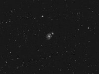 Die "Whirlpool-Galaxie" M 51  M 51 ist eine Galaxie mit ausgeprägter Spiralstruktur in 24 Mio. Lichtjahren Entfernung. Der markante Begleiter ist die wechselwirkende Galaxie NGC 5195.  6" f/5 Newton, Canon 6 D, ISO 3200, OHC-III-Filter, 39 x 60 s. Aufgenommen am 14.06.2023 ab 00:16 Uhr MESZ.