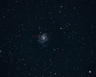 Die "Feuerrad-Galaxie" M 101 M 101 ist eine Spiralgalaxie in einer Entfernung von 21 Mio. Lichtjahren. Auf dem Foto ist links vom Kern (rot markiert) die Supernova SN 2023ixf zu sehen, die...